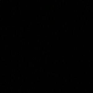 Meet your Posher, Ella